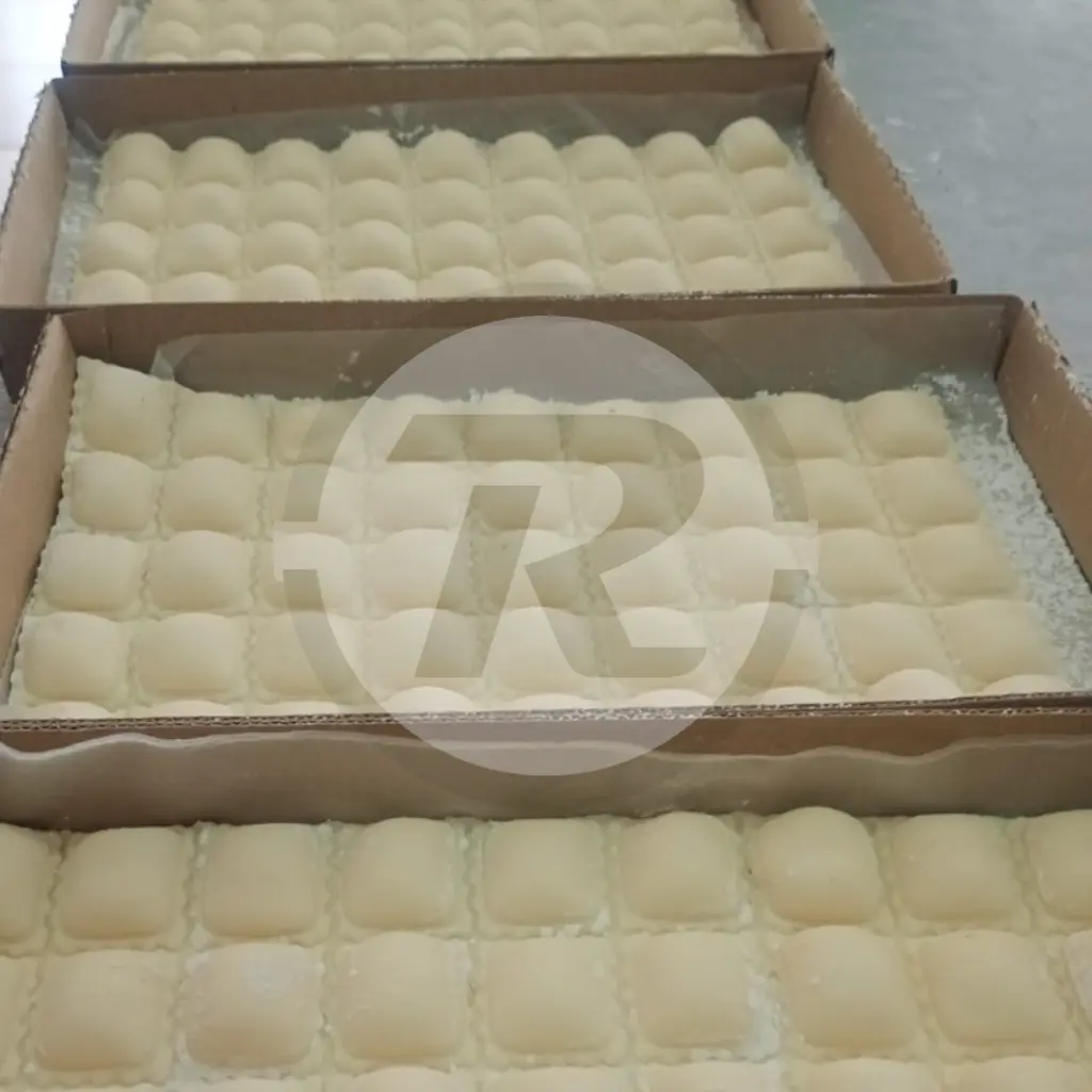 Plancha de Ravioles RAV200..webp